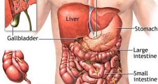 ما علاقة استخدام أدوية علاج حرقة المعدة بأمراض الكلى؟