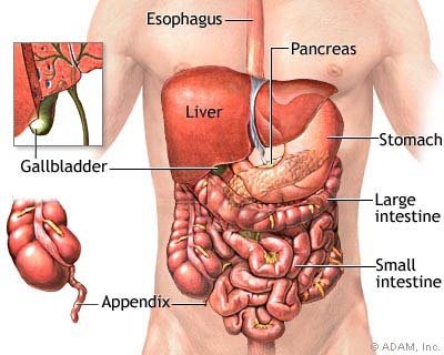 ما علاقة استخدام أدوية علاج حرقة المعدة بأمراض الكلى؟