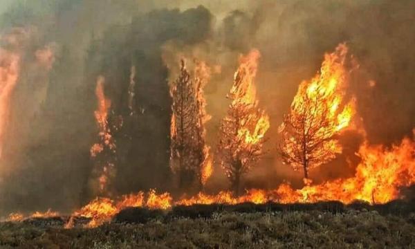 لبنان يحترق.. والنيران تحاصر السكان في المنازل..بالفيديو